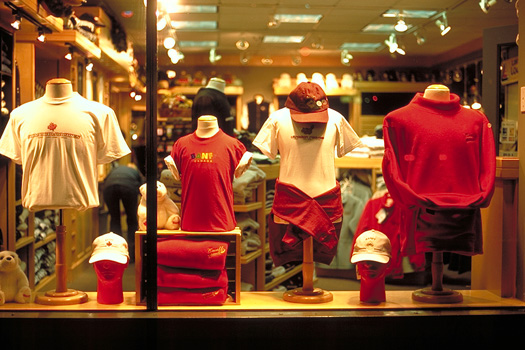 �F�N�₩�ȃV���[�E�B���h�E�̏���t��