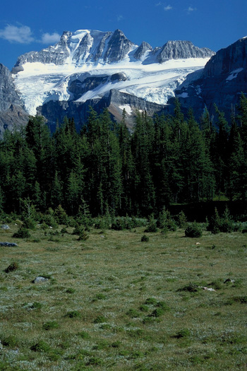 ���[�����΂��烉�[�`�o���[�g���C�����P���ԂقǏ������������