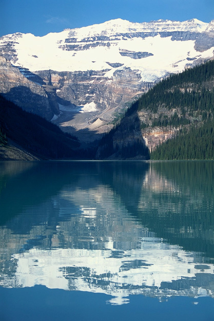 �ό��q�����ӂ��O�́A��⑁�߂̒��̃��C�N���C�[�Y�ƃr�N�g���A�R