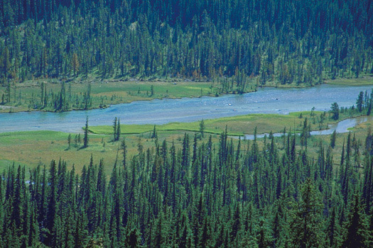 �o�x���R�̑����𗬂��u10�s�[�N�X�̒J-Valley of 10 Peaks�v