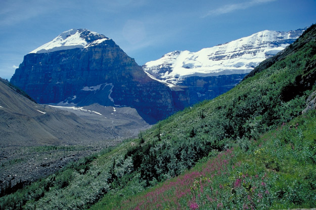 Plain of Six Glaciers TrailsB@Mt. Lefroy(3,423m)Aʉ͕X͂Mt. Victoria(3,462m)