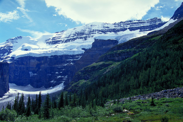 Plain of Six Glaciers TrailsB@Mt. Lefroy(3,423m)Aʉ͕X͂ Mt.
Victoria(3,462m)