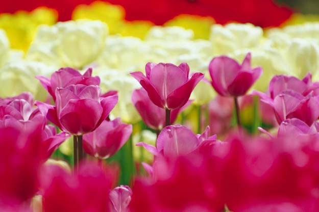 ����(���s�{���A�����A80-200�~2)