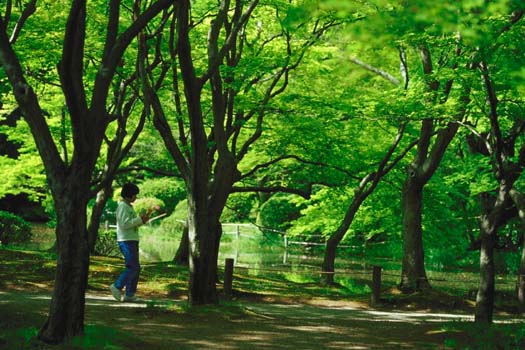 �ΉA�̃X�e�b�v(���s�{���A����)