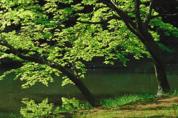 ��t�̂���-2