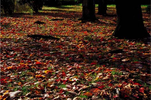 �ؘR�����-2