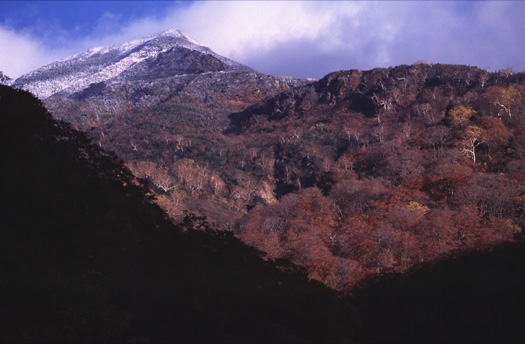 far Mt. Hakusan at Sabo-sindo rute end 10/96(66kb)