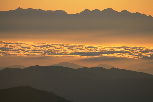 The God's Garden!! (The golden cloudland against the skyline of Kita-Alps Range.(left peak:Mt. Yari-ga-take(3,180m); right peak: Mt. Hotaka-dake(3,190m))