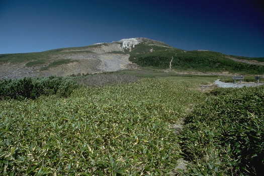 Mida-ga-hara field & Mt. Hakusan. R35-70, KR)