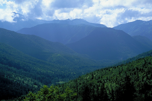 ���Y������  ��t��Ƃ͂邩�ȉ_�̕�