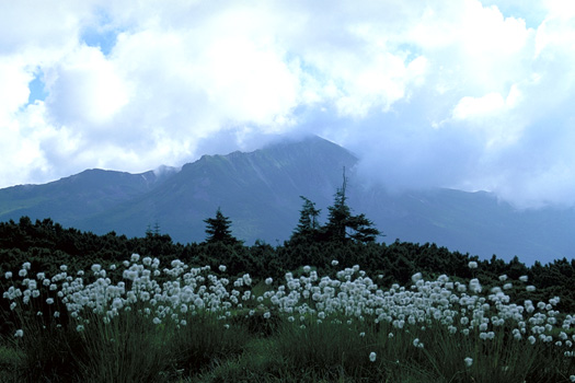 �킽�����炭�A���X�J�뉀�ƃK�X�鍕���ܘY�x