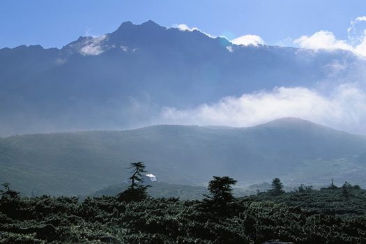 �����x���z - �A���v�X�뉀