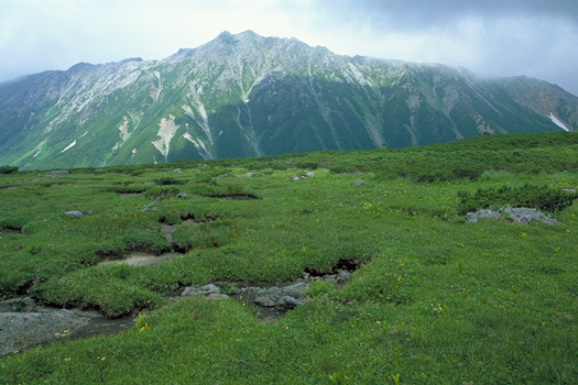 �K�X�鐅���x - �X�C�X�뉀