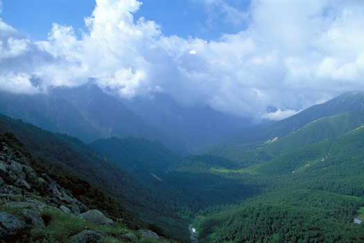 ���V�������ቺ�� - �X�C�X�뉀