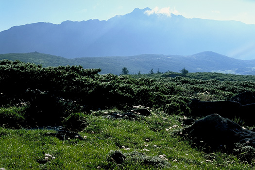 �A���v�X�뉀�^�� - �A���v�X�뉀����̐����x�S��