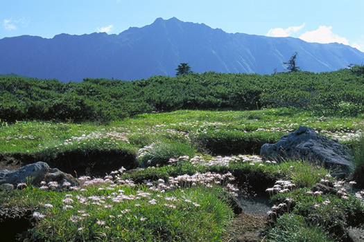 ���񂮂�܋P���A���v�X�뉀�Ɛ����x