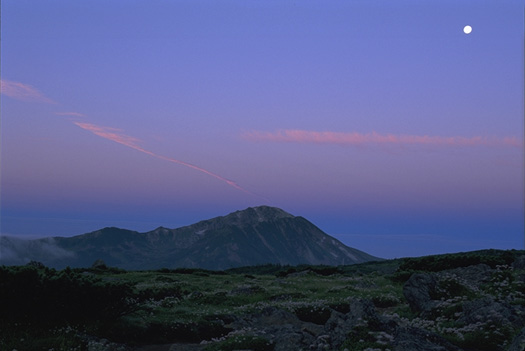 �閾���O�A�����ܘY�x - �M���V���뉀(�_�̕��R��)