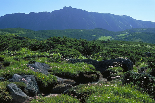 �����x - �A���v�X�뉀(�_�̕�)