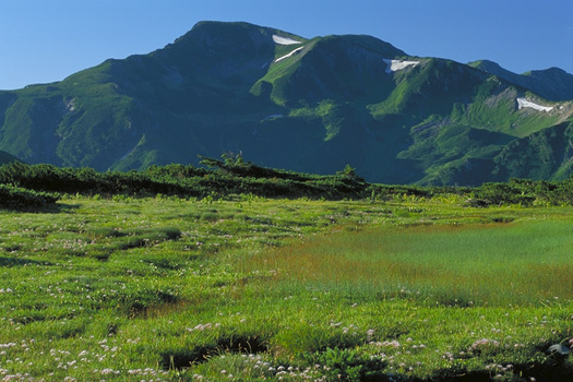 �A���v�X�뉀�^�� - �O���@�؊x-�R 