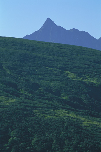 �V���� - �A���v�X�뉀(70-180�~2)