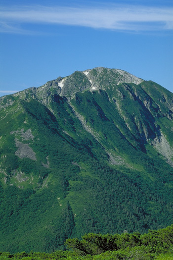 �����ܘY�x - �A���v�X�뉀