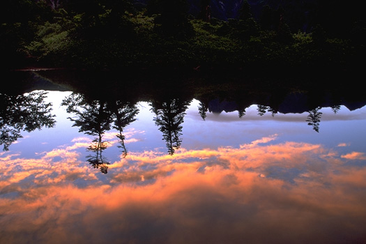  - ����(80kb)