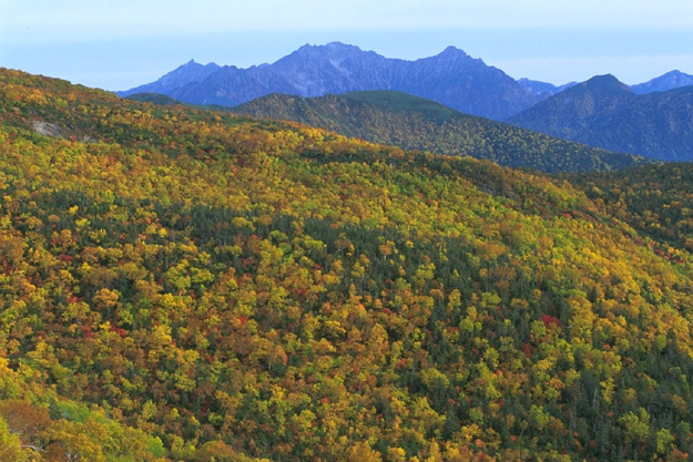 Autumnal Tints and Mt. Yari & Hotaka-renpou Range(by the Echo-Line)
