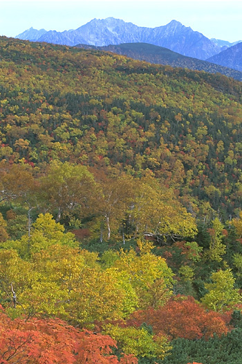 Autumnal Tints and Mt. Yari & Hotaka-renpou Range(by Echo-Line) 